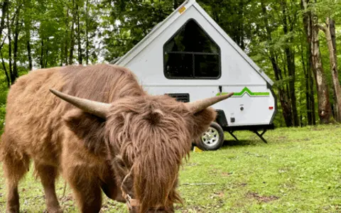Cute + Minimal A-frame (Aliner)