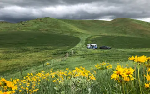 2021 RPOD Trailer: New! Clean! Cheap! Easy !