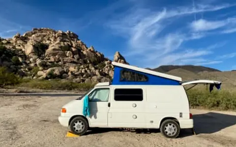 Turtle the Wondervan