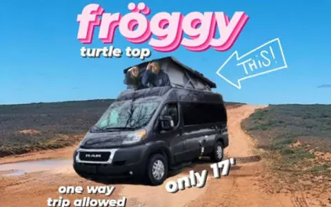 Fröggy the turtle top, FULL amenities! --Chicago-