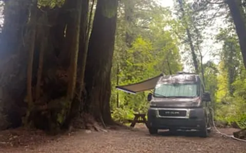 Dora the Explorer 2022 Thor MotorCoach Rize 18M