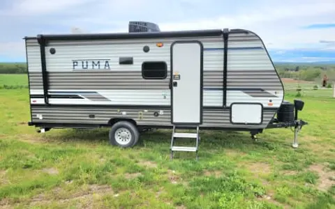 2023 Palomino Puma