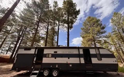Dark Sky - 2021 Forest River Grey Wolf 29TE
