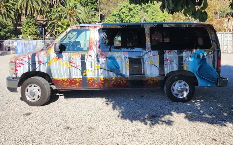 Blue Bird E-150 Campervan