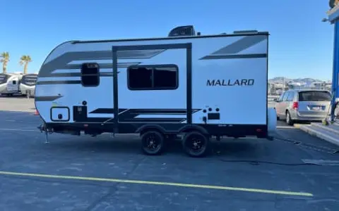 Mallard22