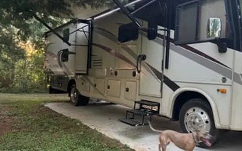 Perfect for Festivals, Tailgates & Family Trips