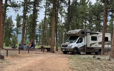Meet Goldie-Your Golden Getaway on Wheels!