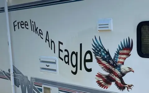 Free Like An Eagle