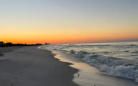 Beach Fun
