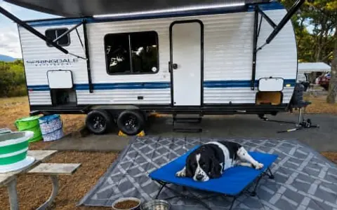 2025 Keystone Springdale 20BHWE + Dog Friendly + Bunks + Loaded