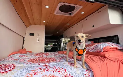 Hot Outdoor Shower · Pet Friendly · Premium Mattress · Flexible Pickup
