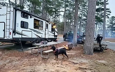 The Outback